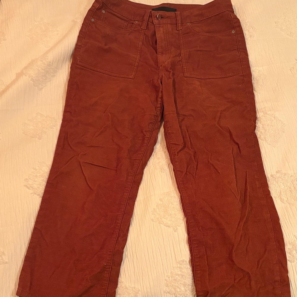 Joe's Jeans Women’s Corduroy Pants in Rust